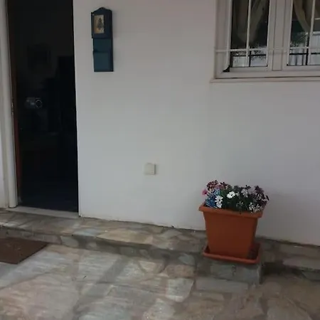 Semi's House *