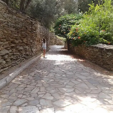 Semi's House * Batsi (Andros)